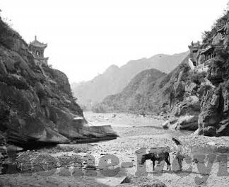 大象传媒抖音-大象传媒与抖音，新媒体时代的文化桥梁