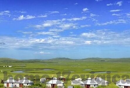 大象传媒客户端-大象传媒客户端，重塑数字娱乐的全新维度