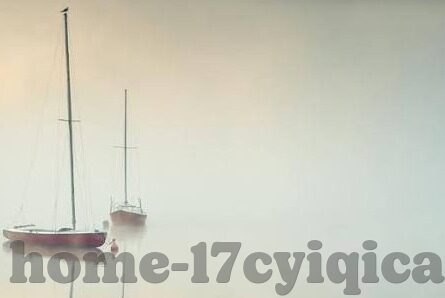 国产成人免费高清激情视频-国产成人免费高清激情视频，理性审视与文化反思