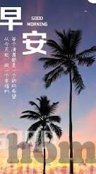 伦理 小说-伦理的迷宫，一部小说的伦理探索之旅