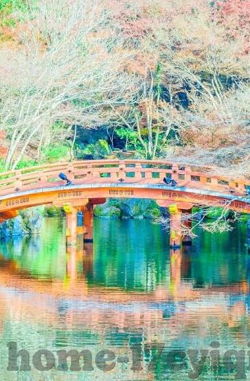 日本一区二区三区中文字幕-探索日本影视文化的多元视角，一区、二区、三区的中文字幕魅力