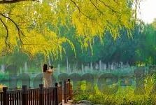 色色成人在线视频-对个人与社会的负面影响