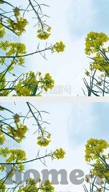 亚洲av男人的天堂麻豆精品-探索亚洲av的魅力，麻豆精品的诱惑与新体验